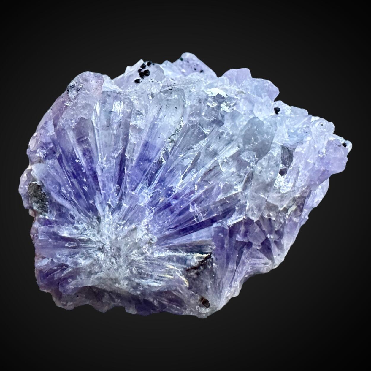 Creedite