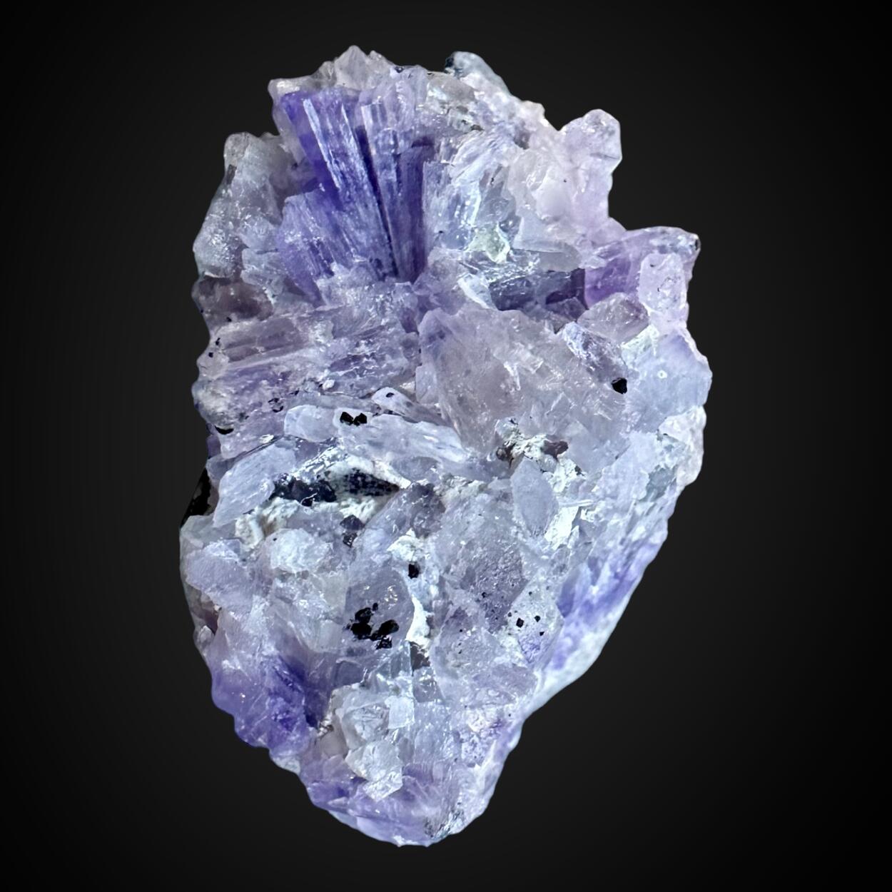 Creedite