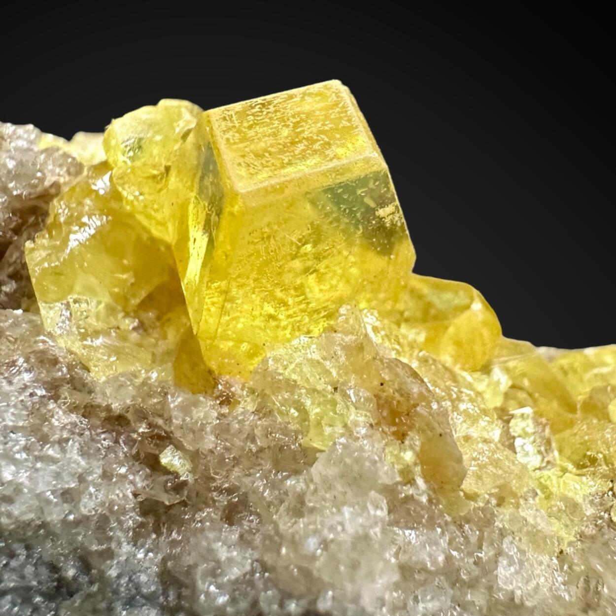 Native Sulphur