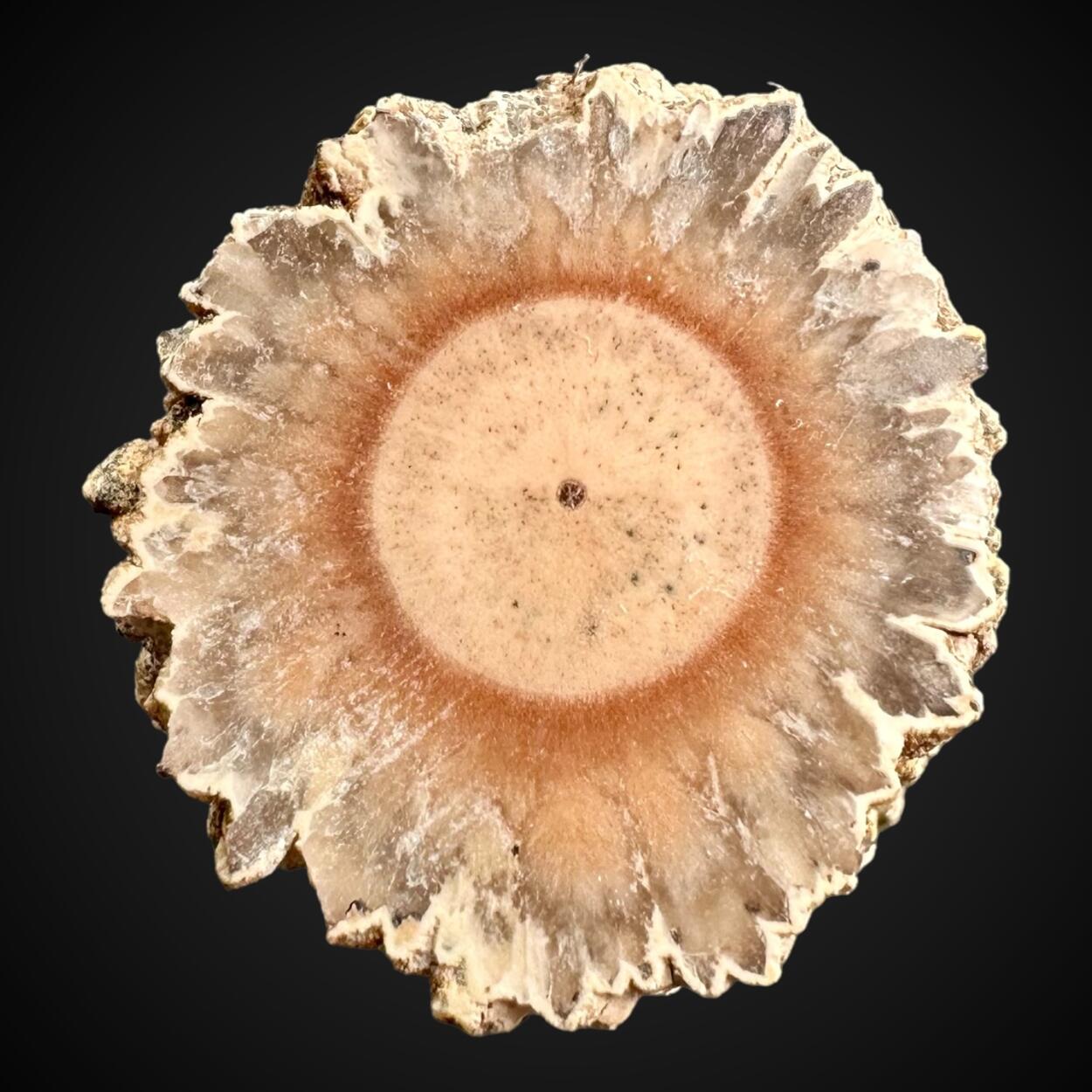 Baryte