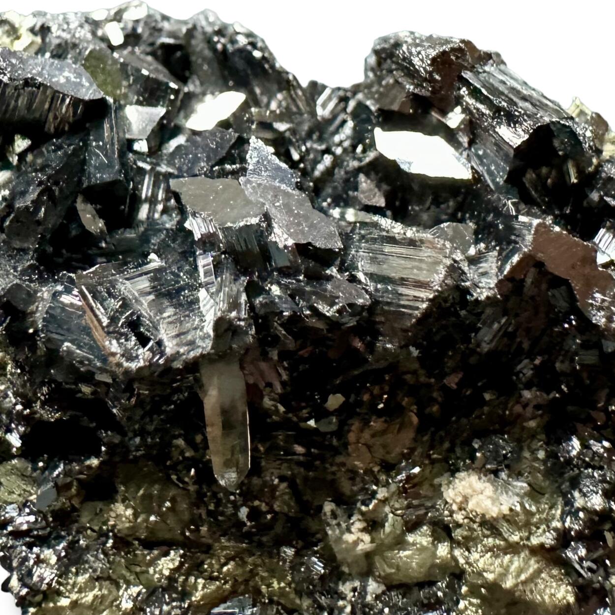 Enargite & Pyrite