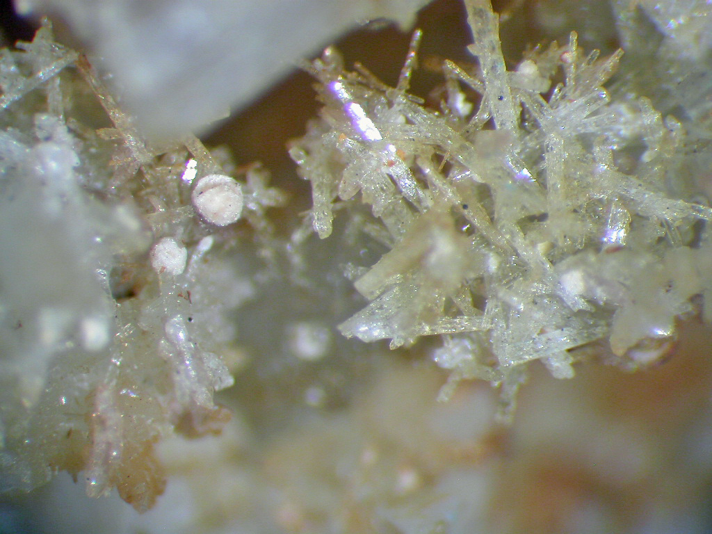 Tadzhikite-(Ce) & Pectolite