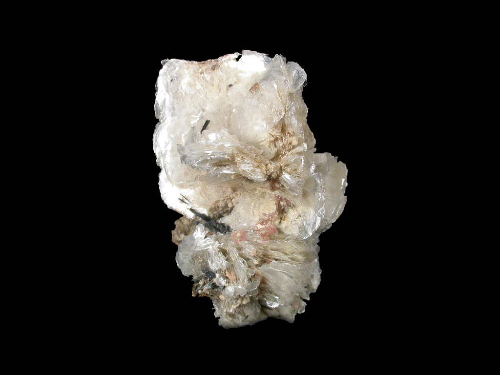Polylithionite