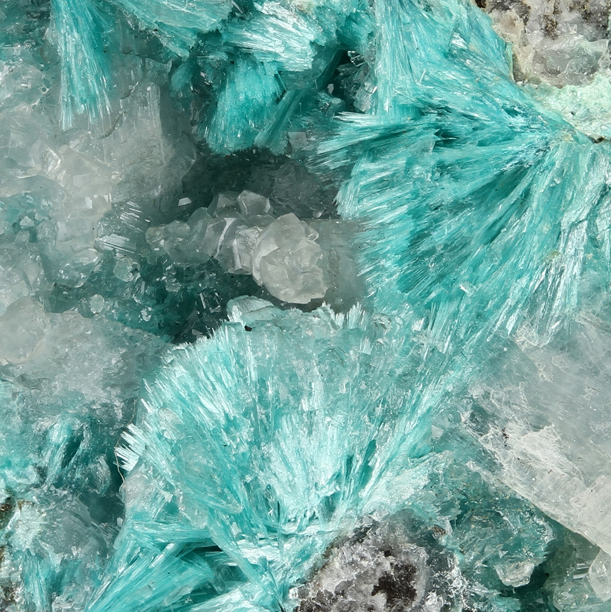 Aurichalcite & Calcite