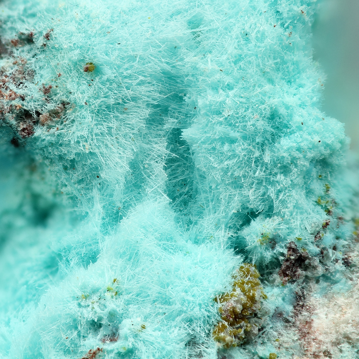 Chrysocolla & Fornacite