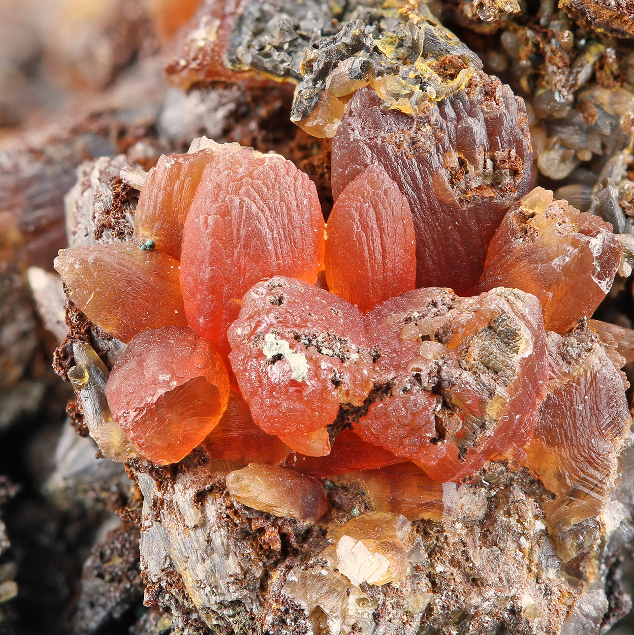 Rhodochrosite