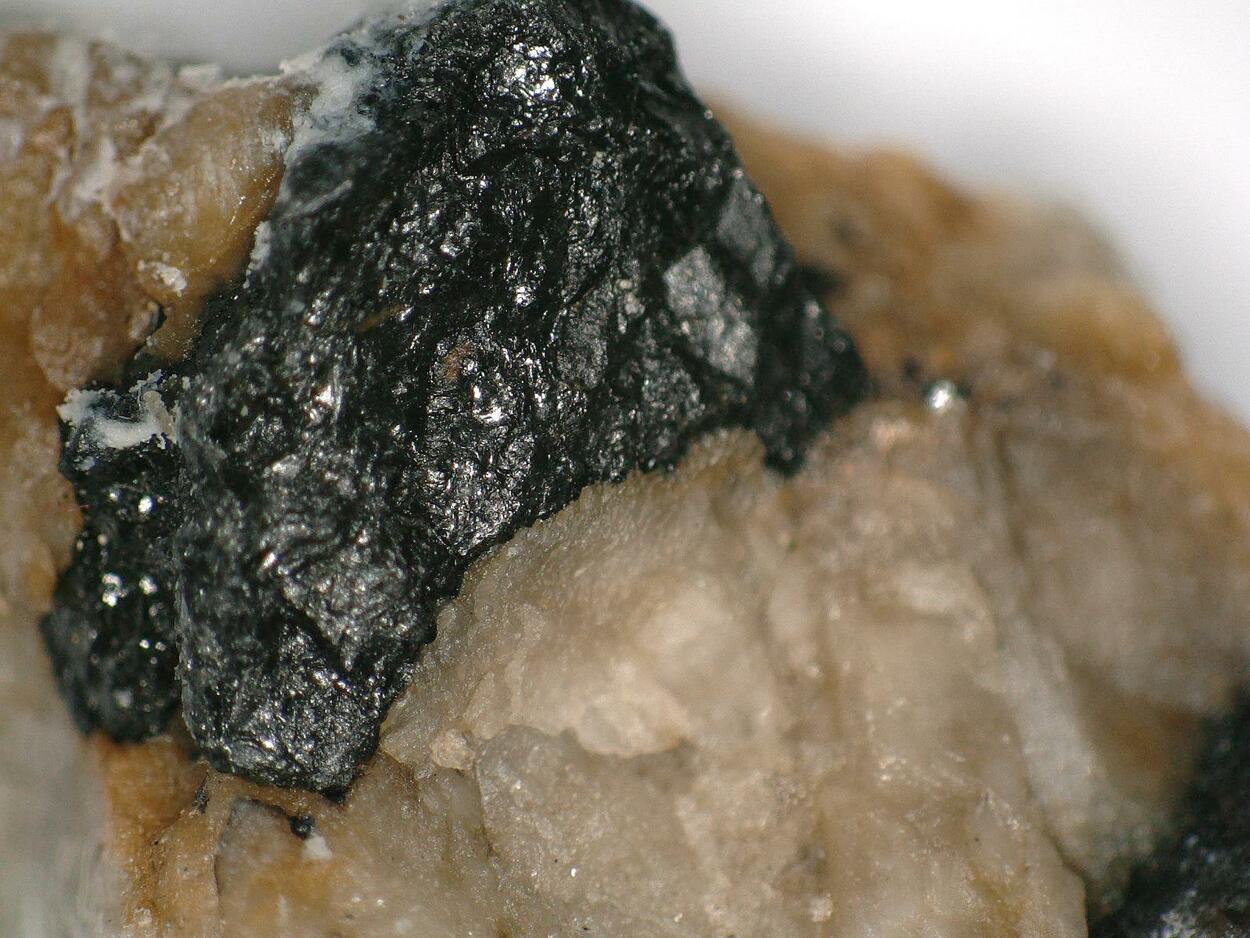 Rynersonite