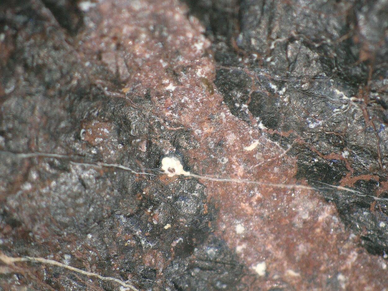 Vorlanite