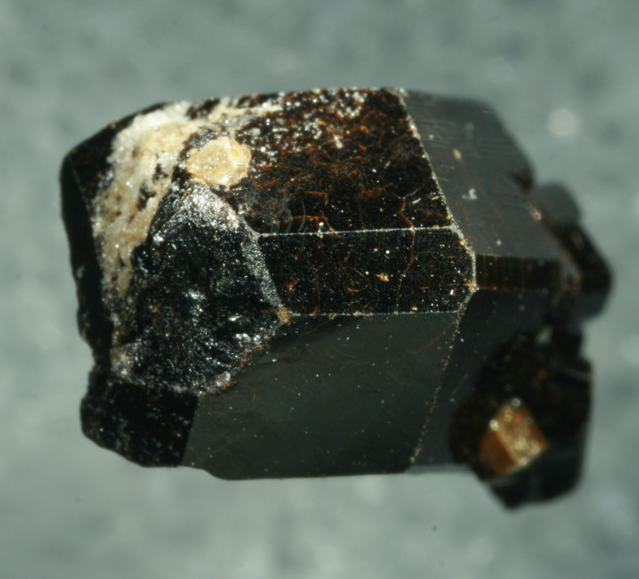 Buergerite