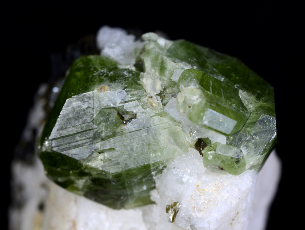 Diopside With Phlogopite
