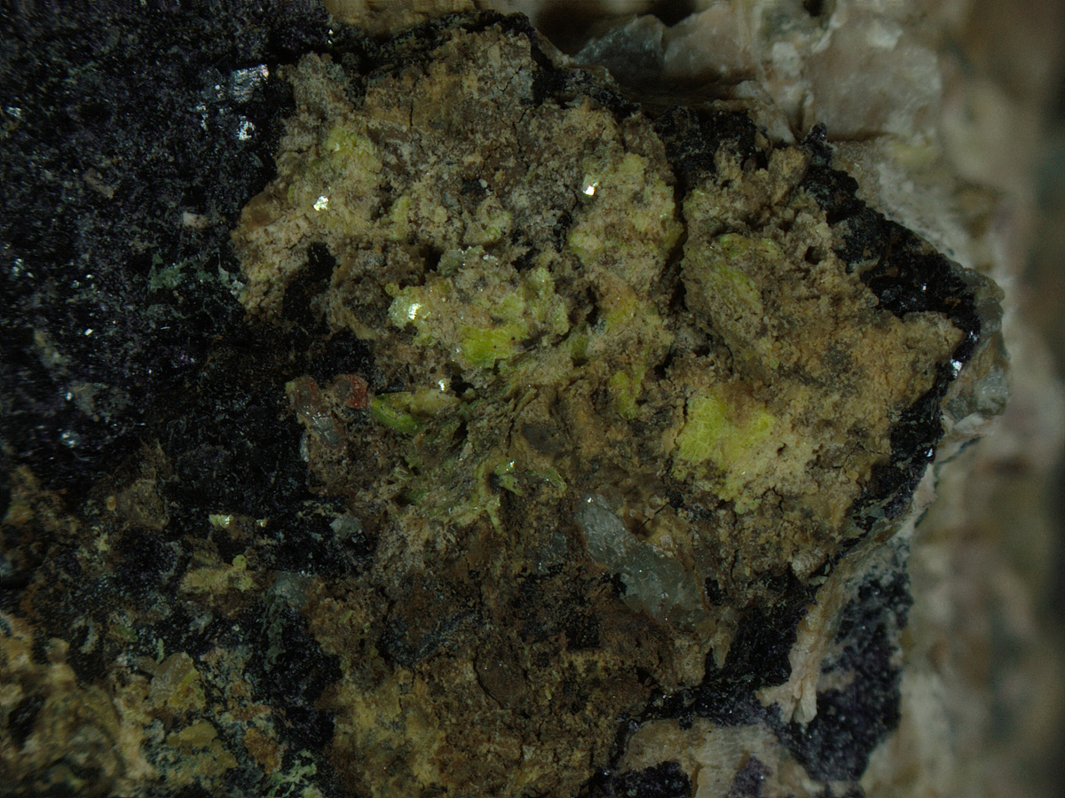 Autunite