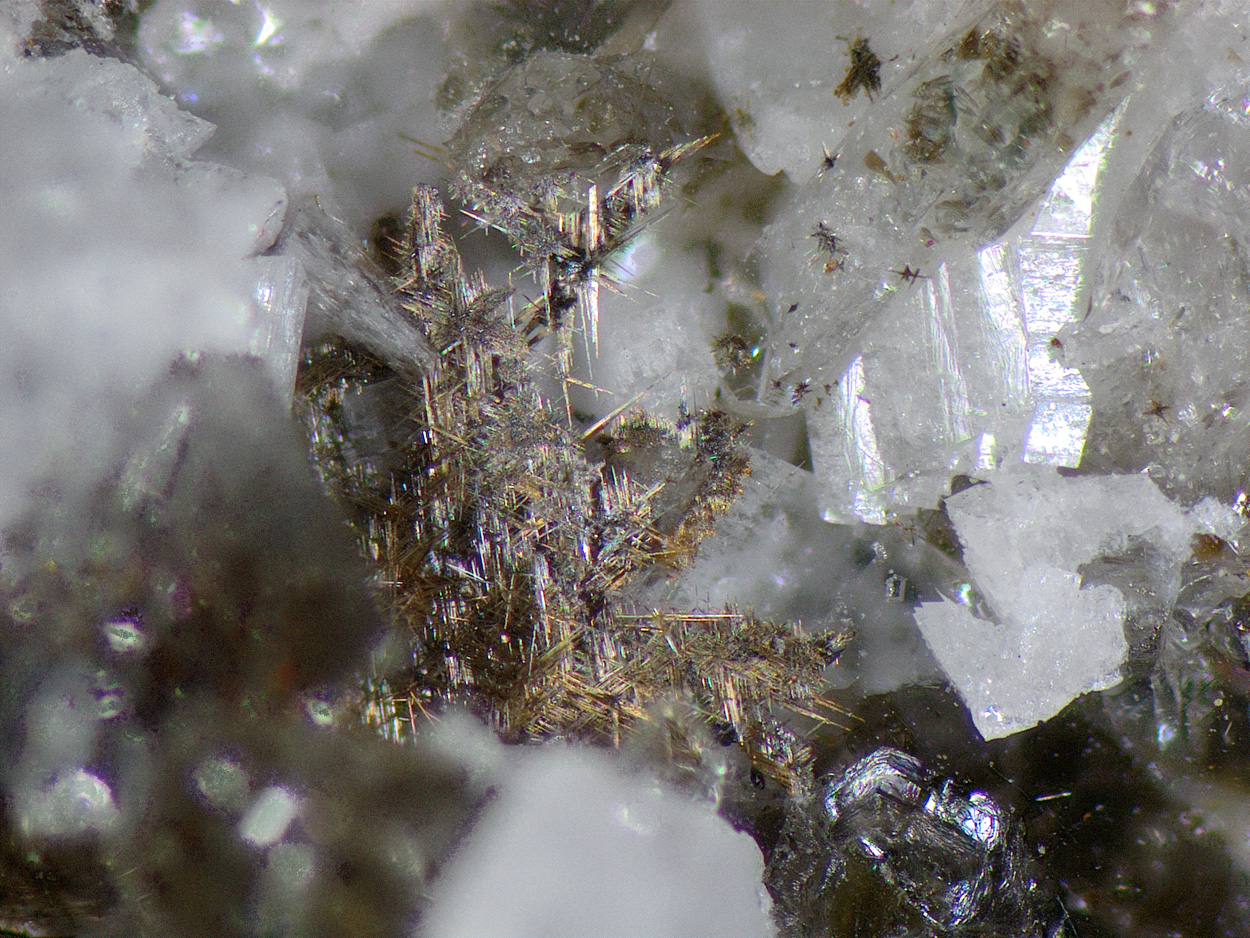 Anatase Brookite & Rutile