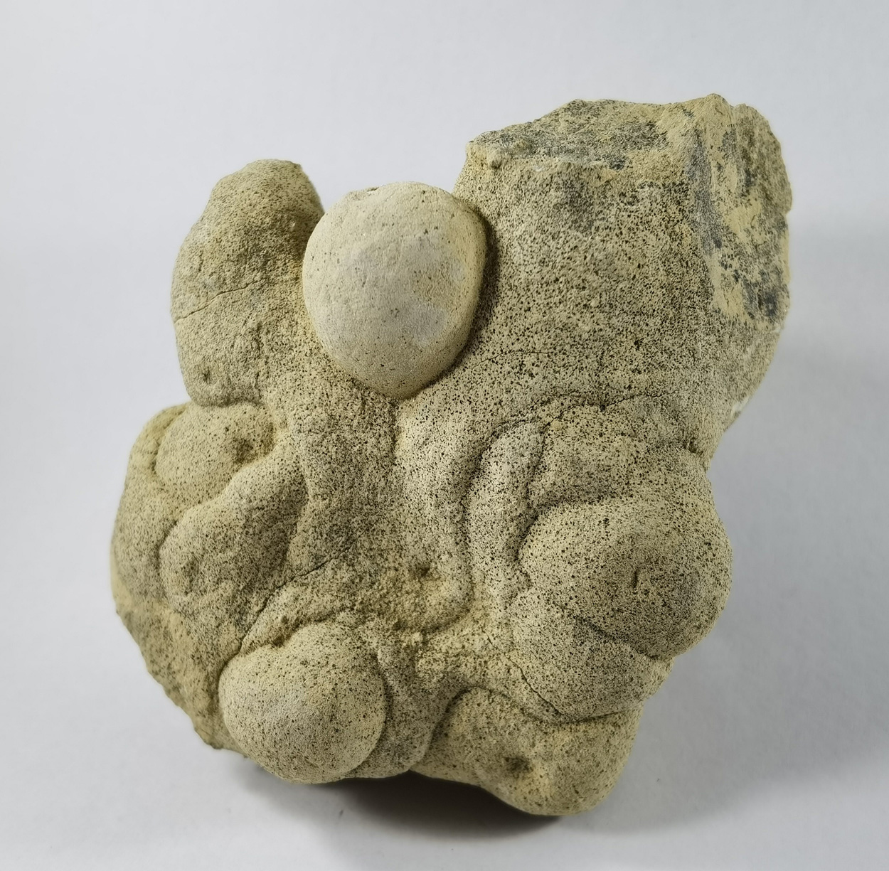 Calcite Var Osteokolle