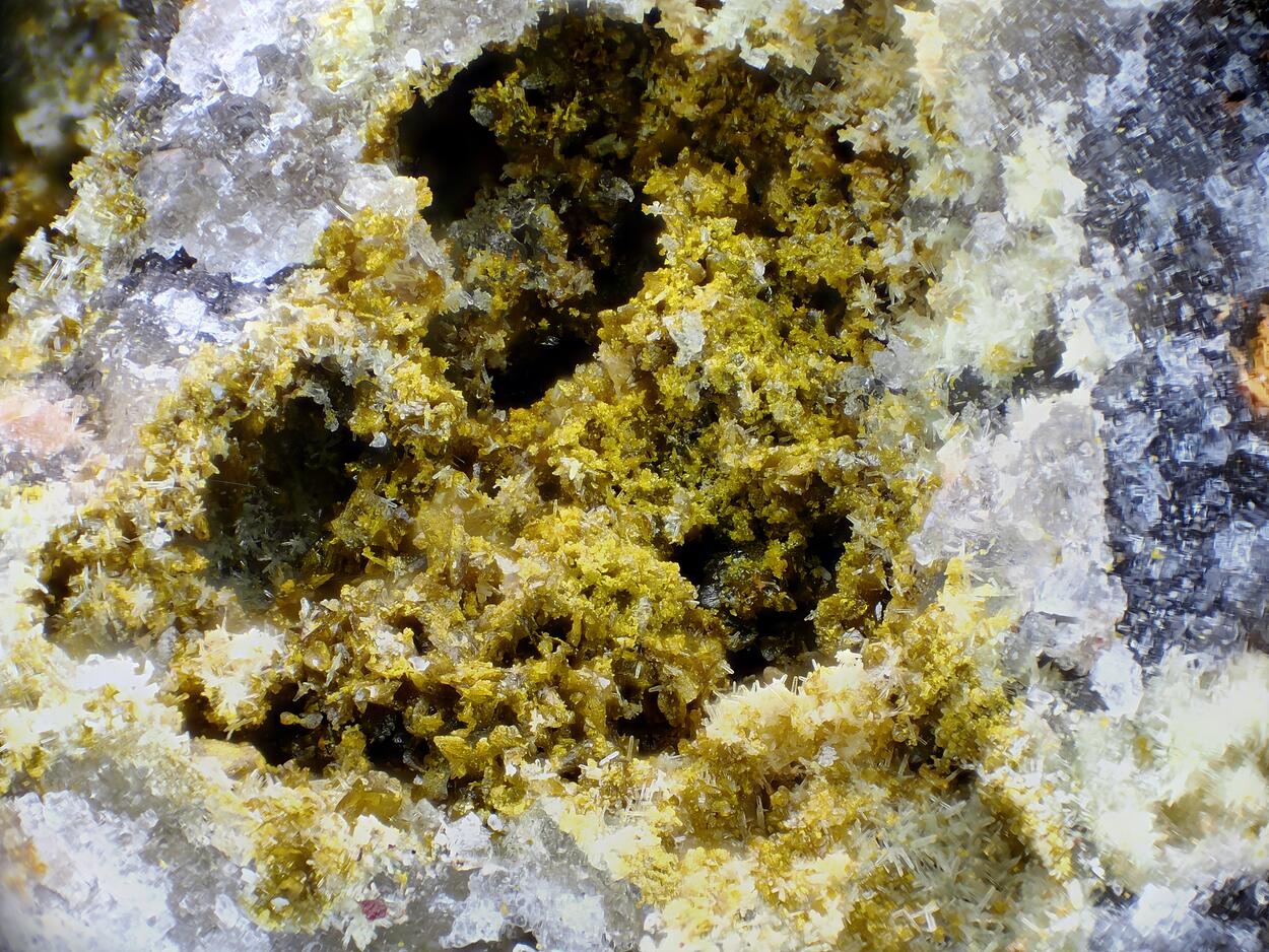 Vauquelinite & Mimetite