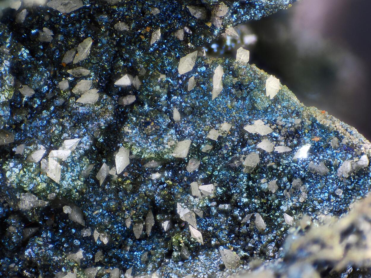 Anglesite & Chalcopyrite