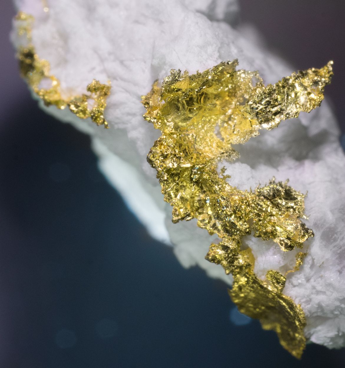 Gold
