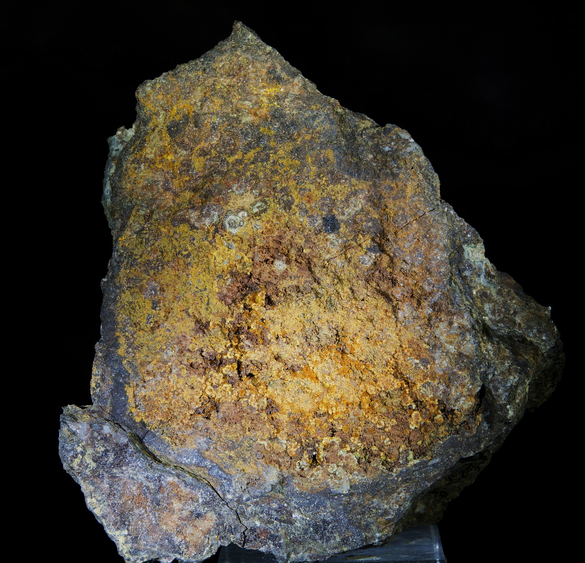 Karibibite