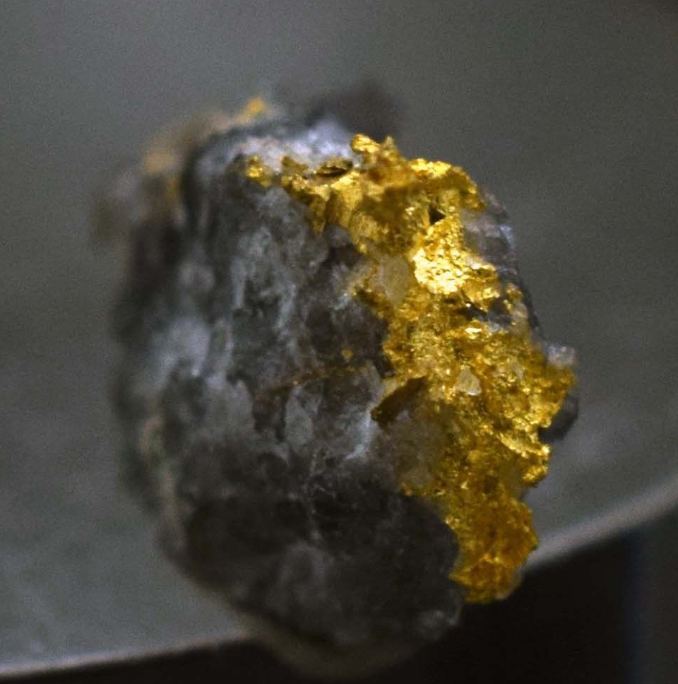 Gold