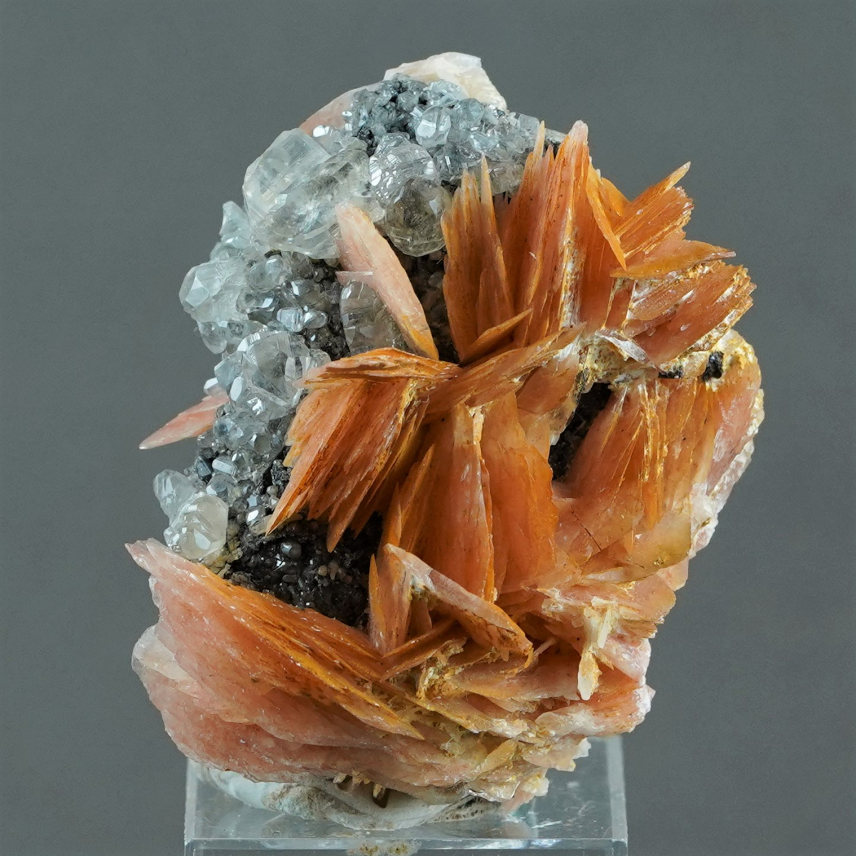 Cerussite & Baryte