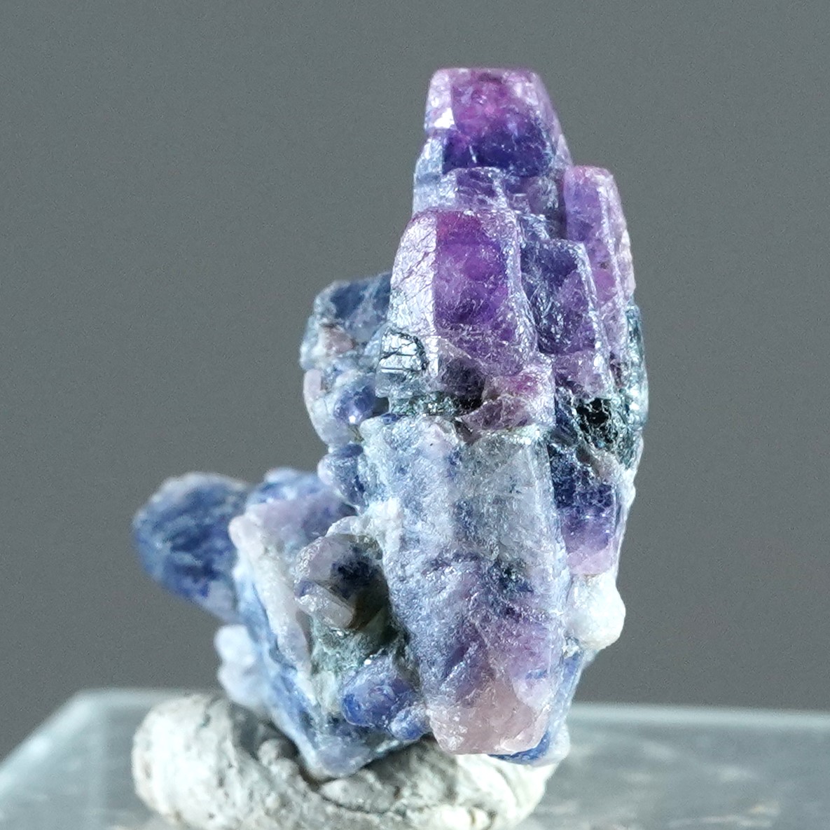 Sapphire & Ruby