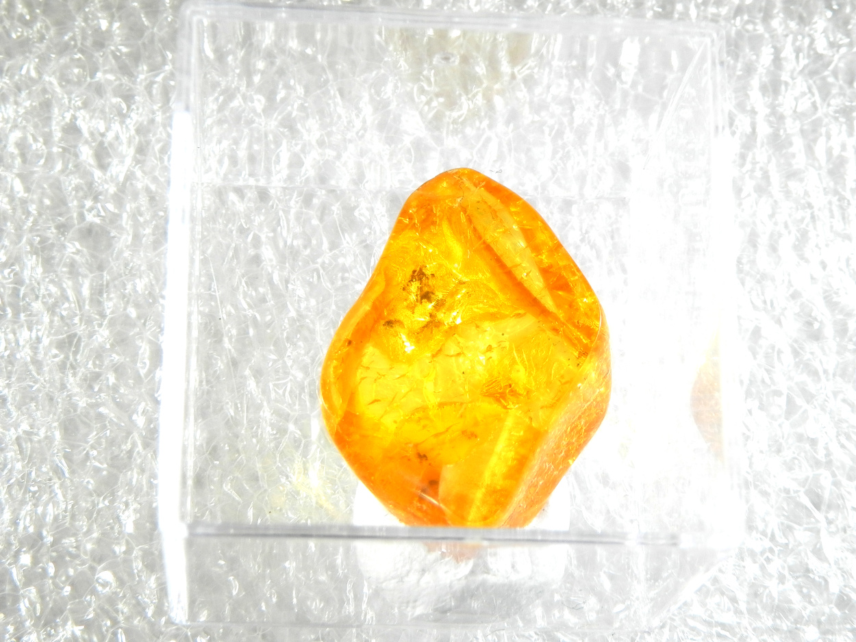 Amber With Inclusions