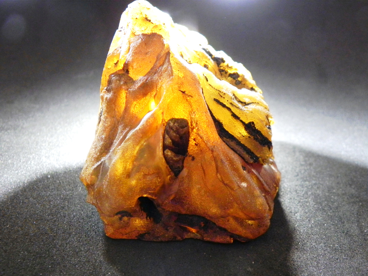 Amber With Inclusions
