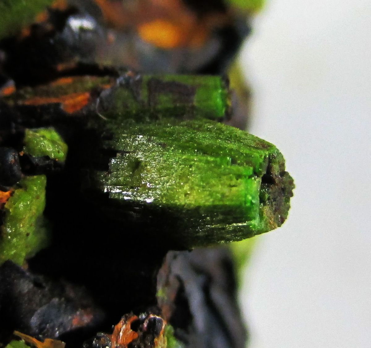 Pyromorphite & Limonite
