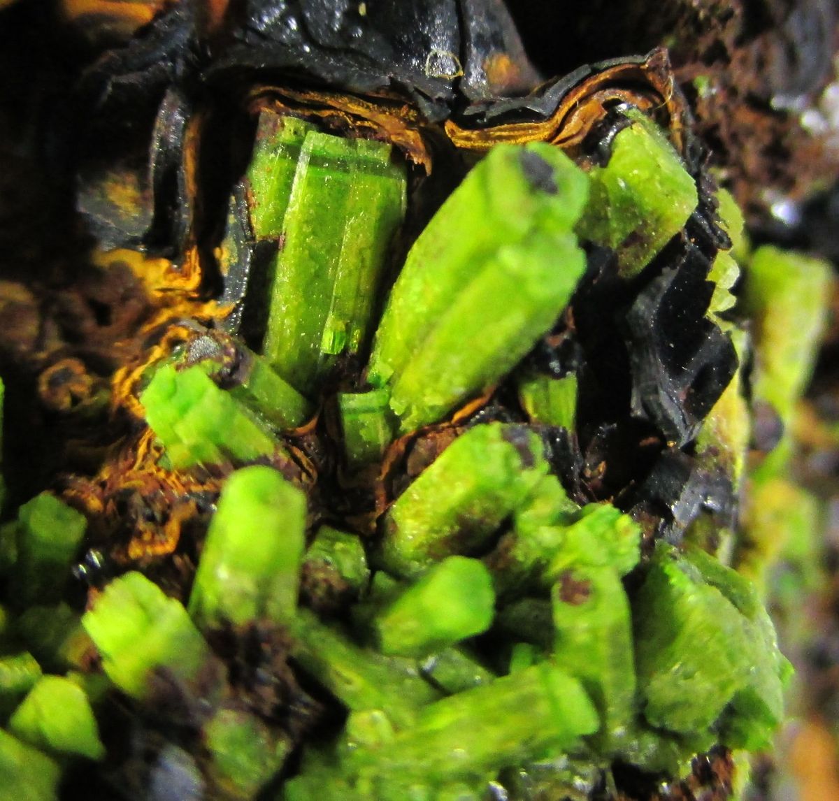 Pyromorphite & Limonite