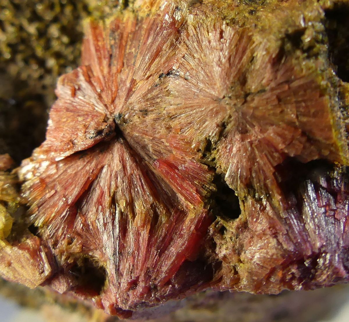 Clinozoisite