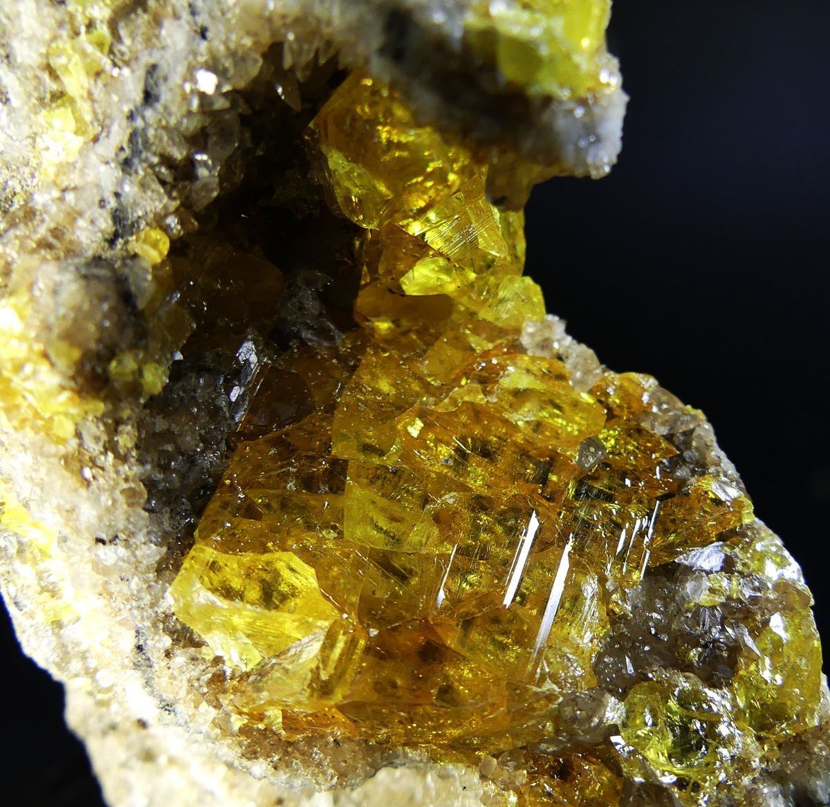 Native Sulphur