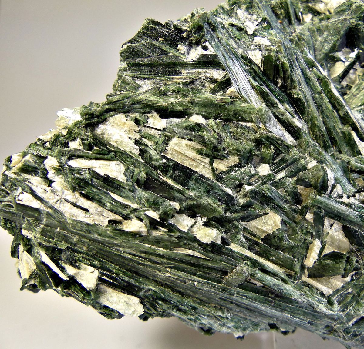 Actinolite