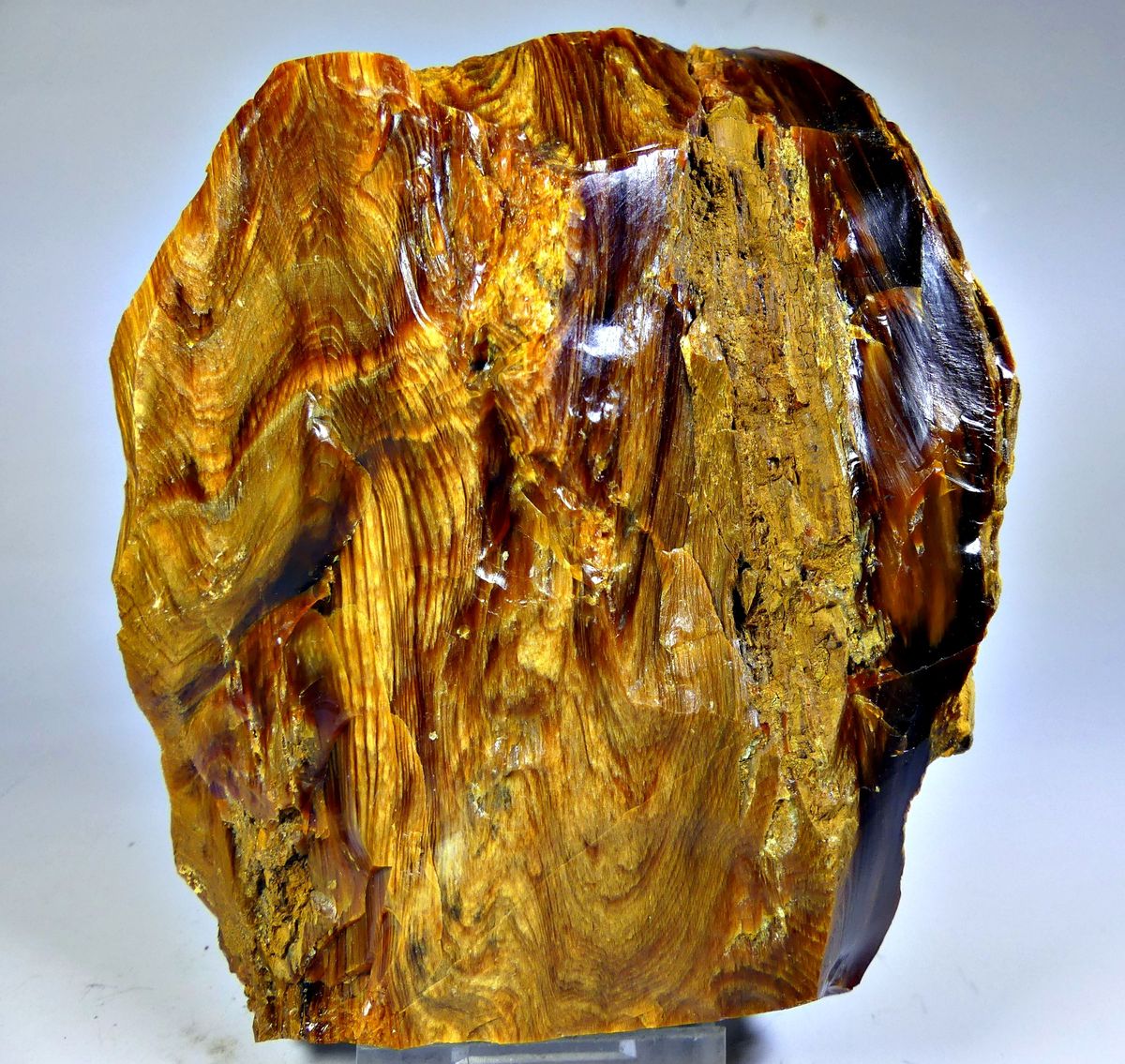 Wood Opal