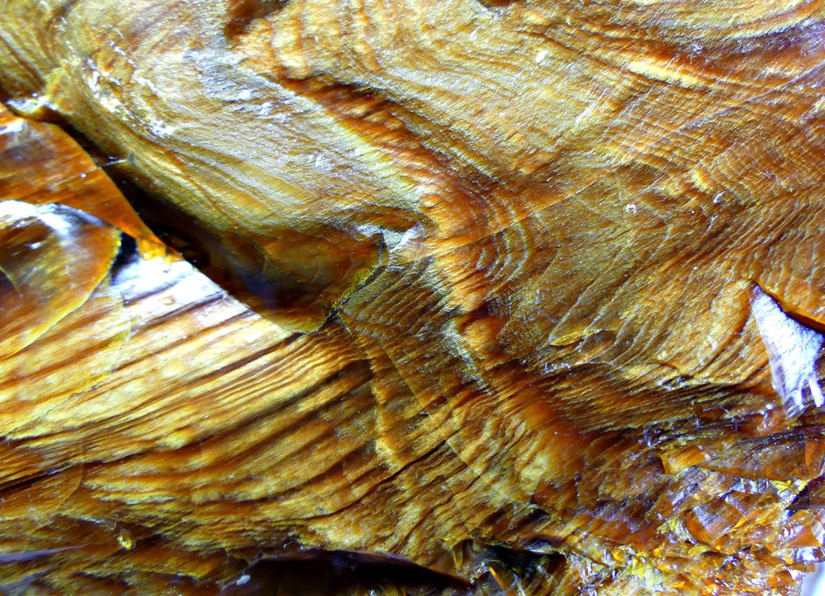Wood Opal