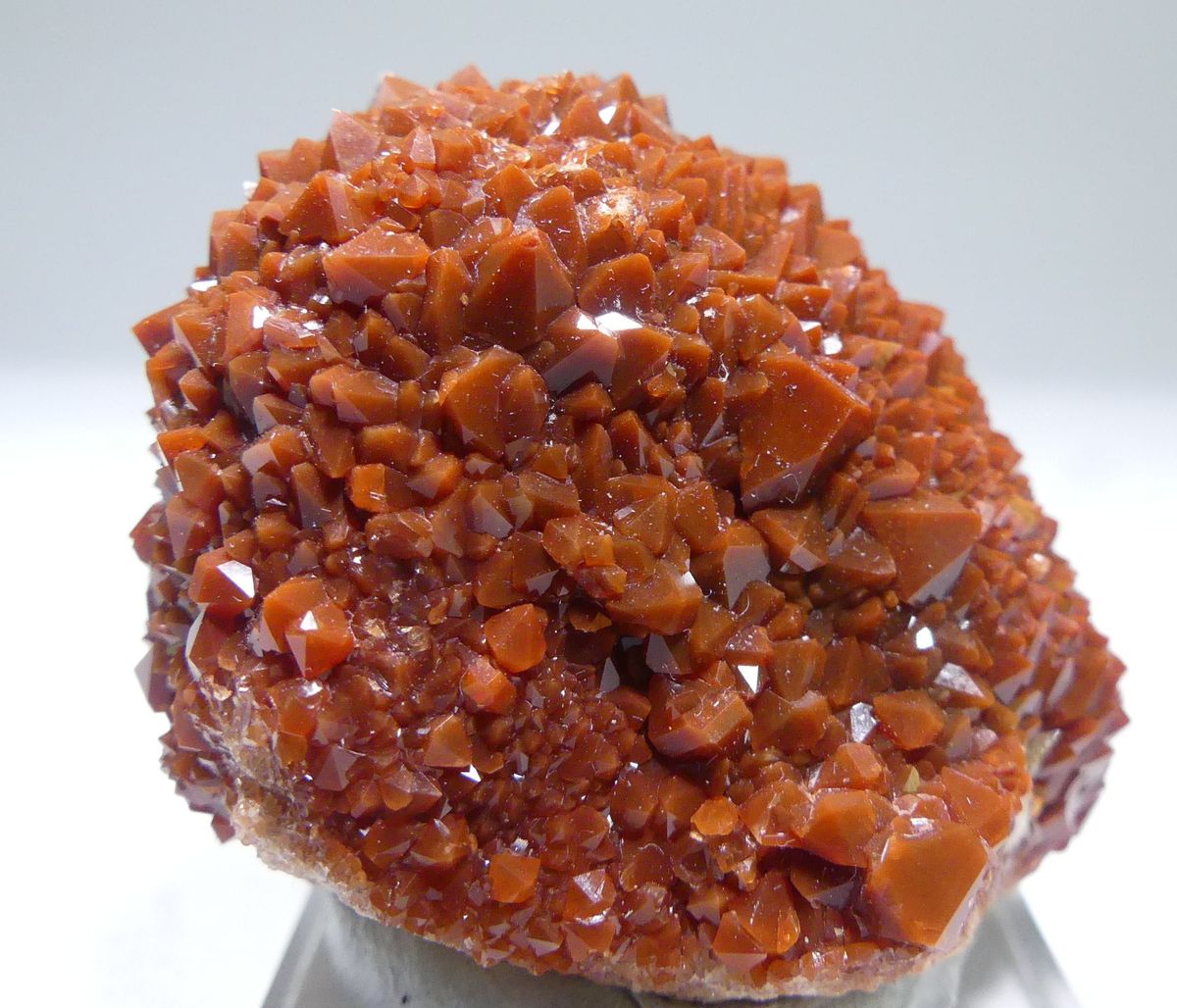 Jacinto de Compostela Quartz