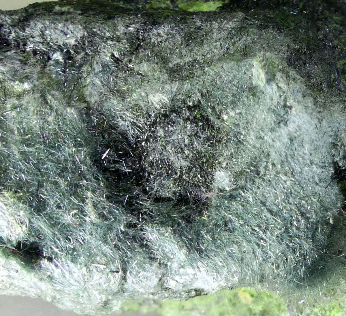 Byssolite & Epidote