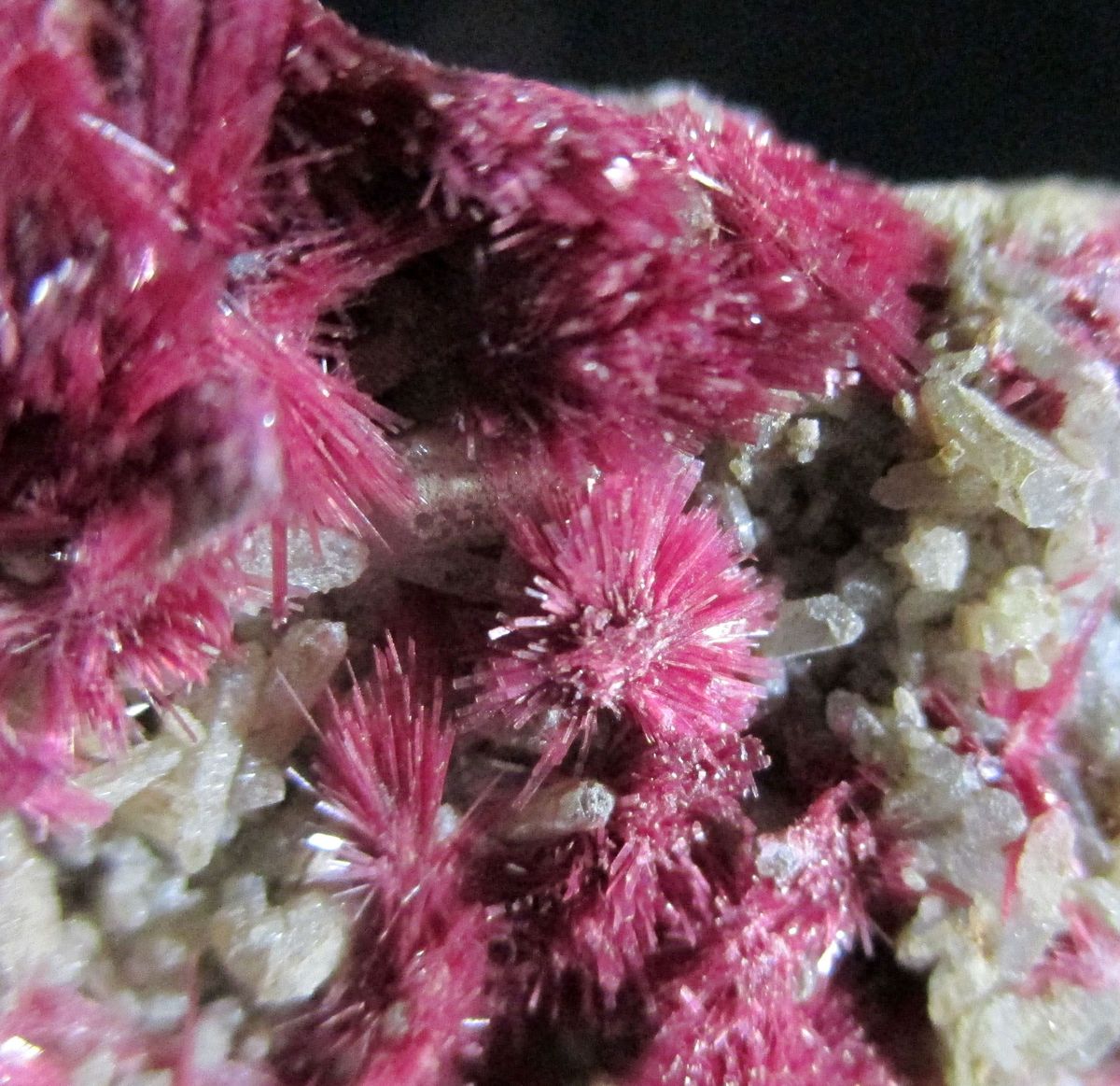 Erythrite On Quartz