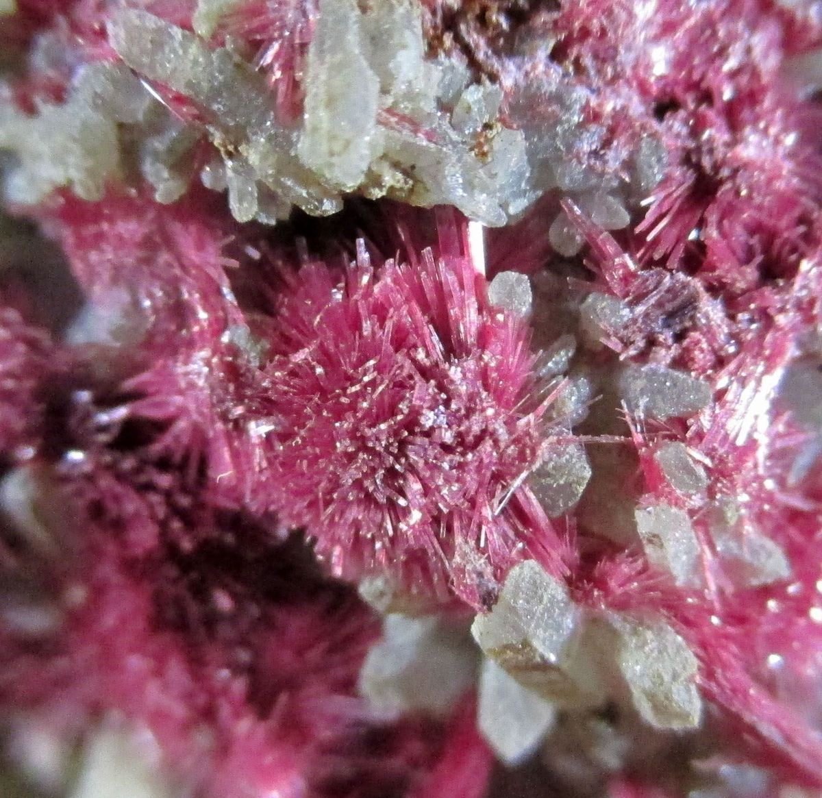 Erythrite On Quartz