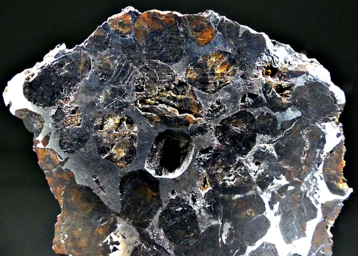 Pallasite Meteorite