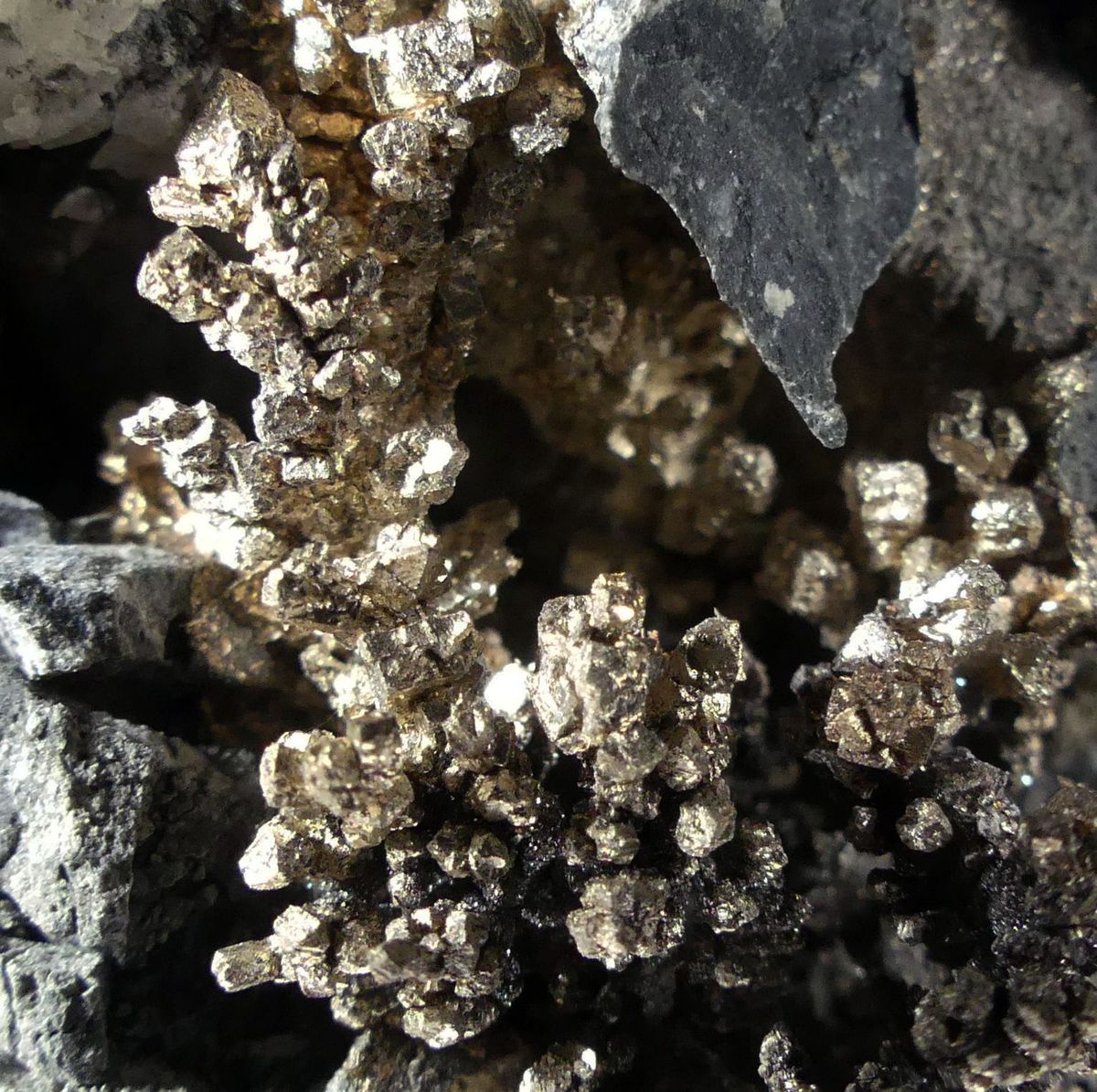 Native Silver