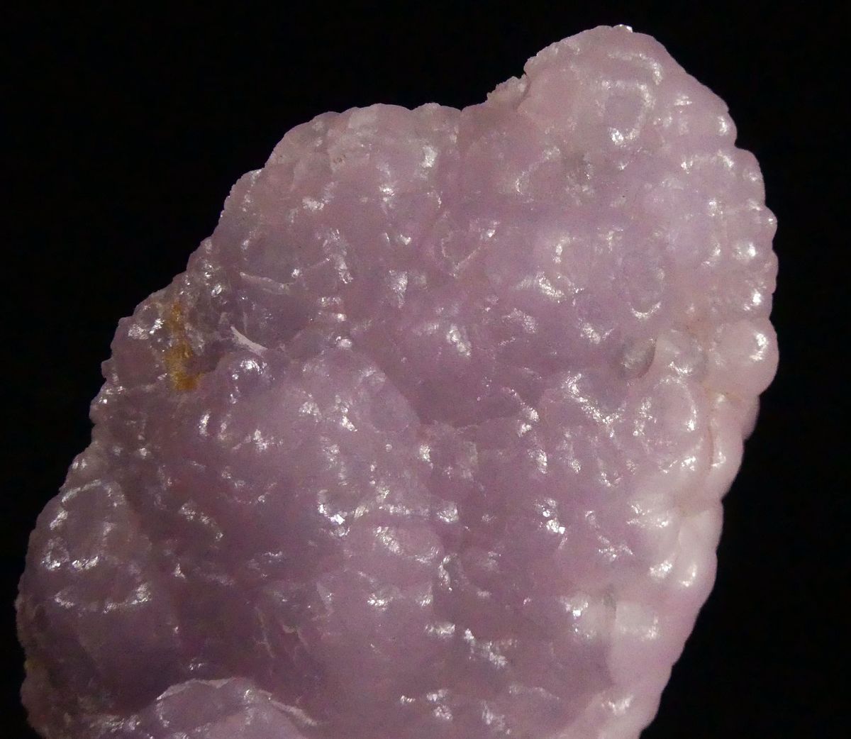 Cobaltoan Smithsonite