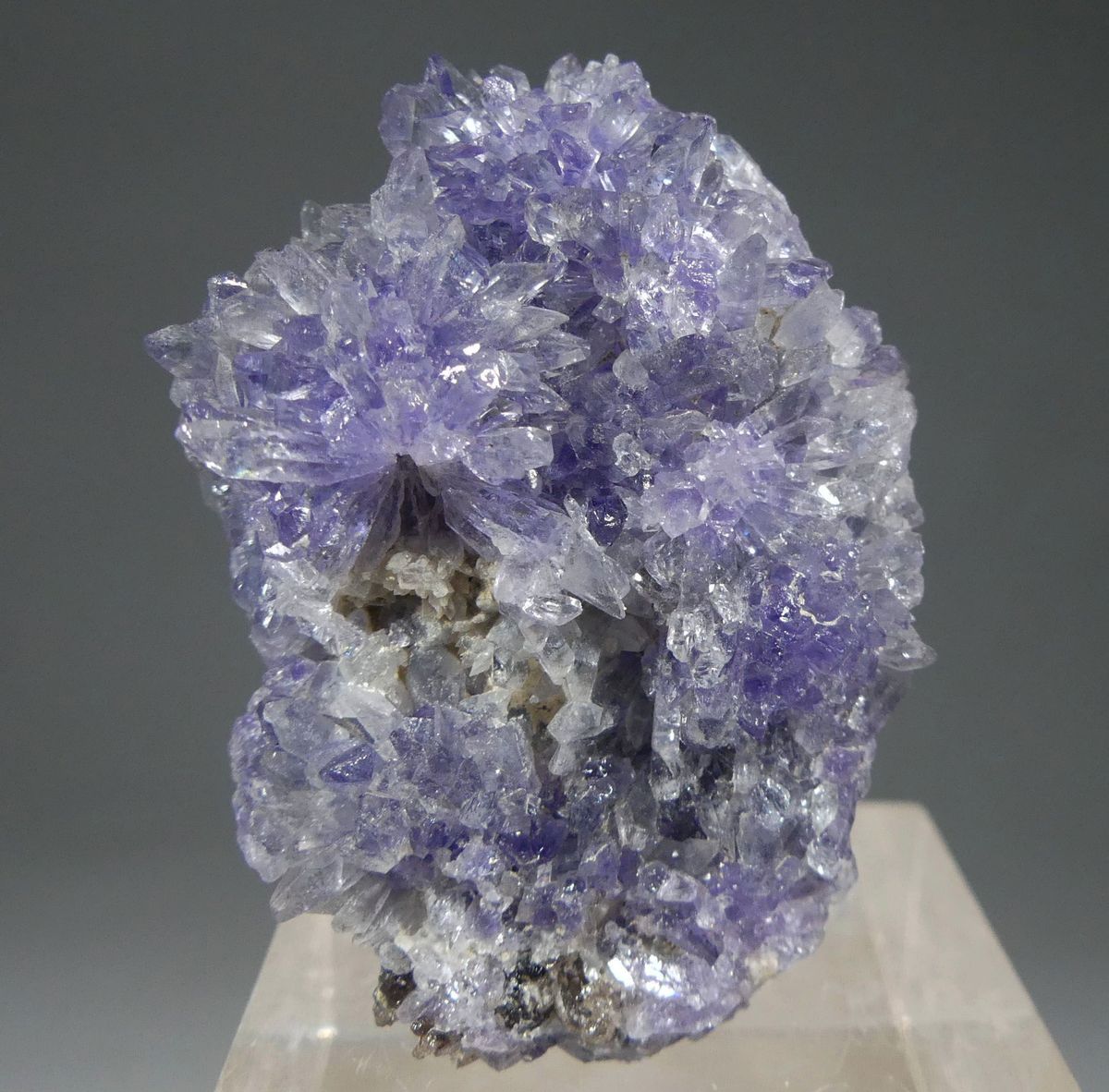 Creedite