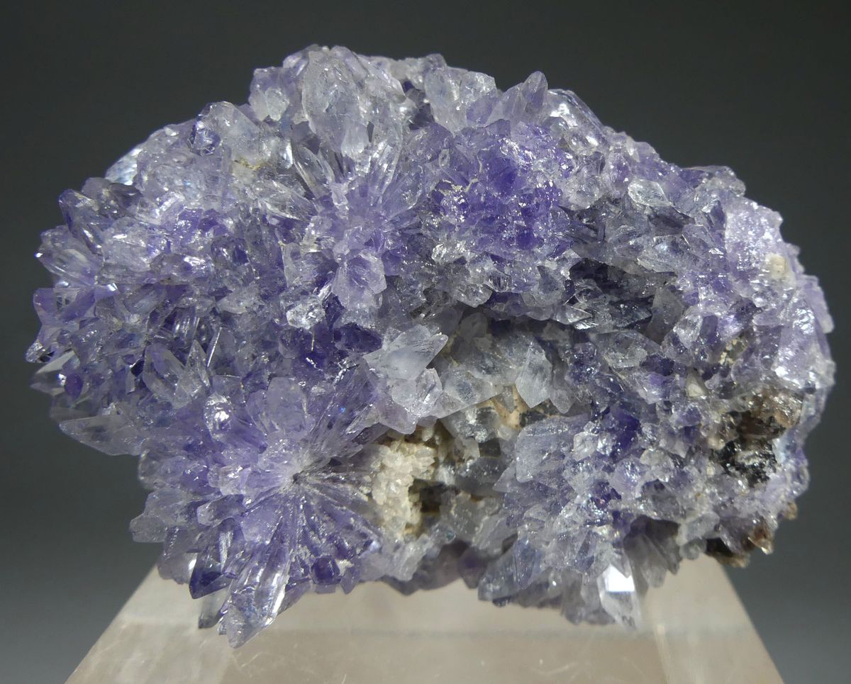 Creedite