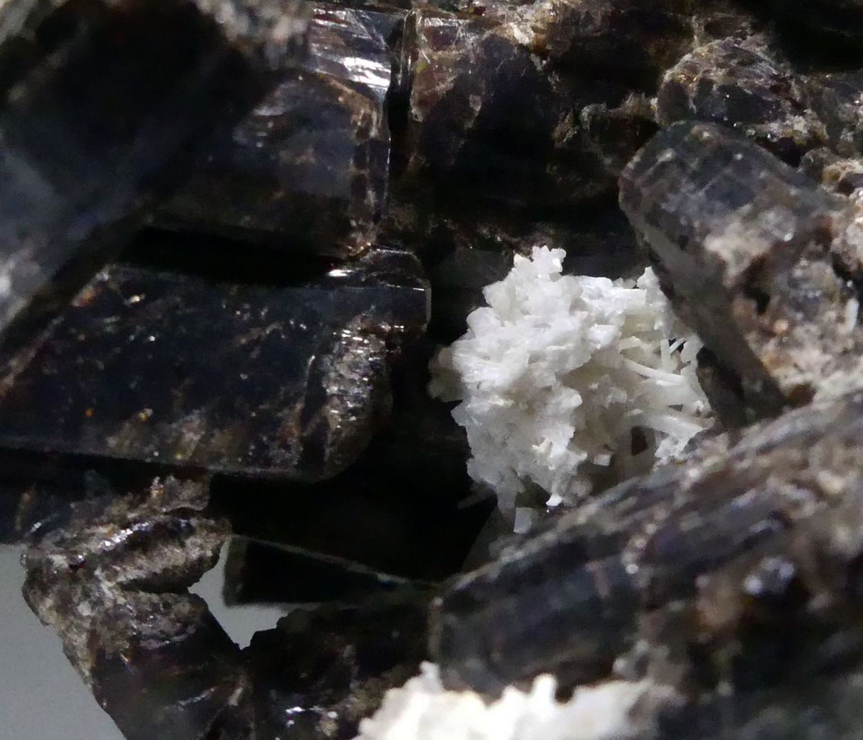 Vesuvianite & Meionite