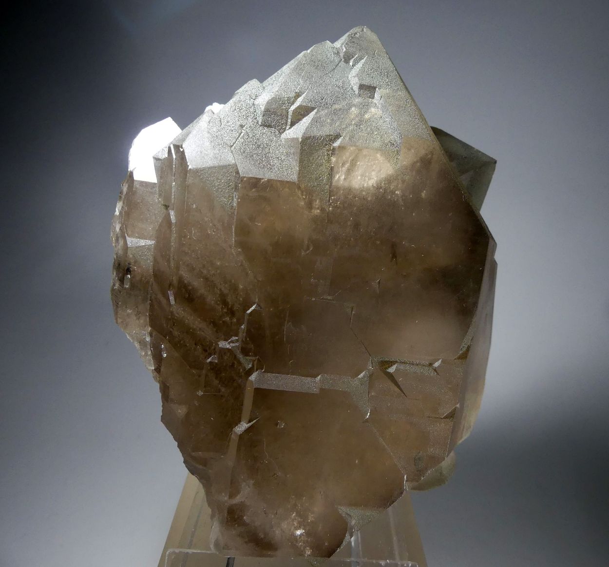 Smoky Quartz Gwindel With Chlorite