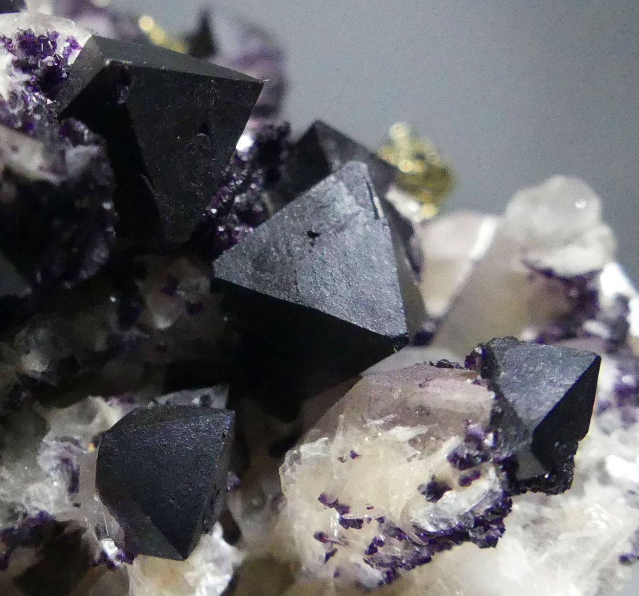 Fluorite & Chalcopyrite On Quartz