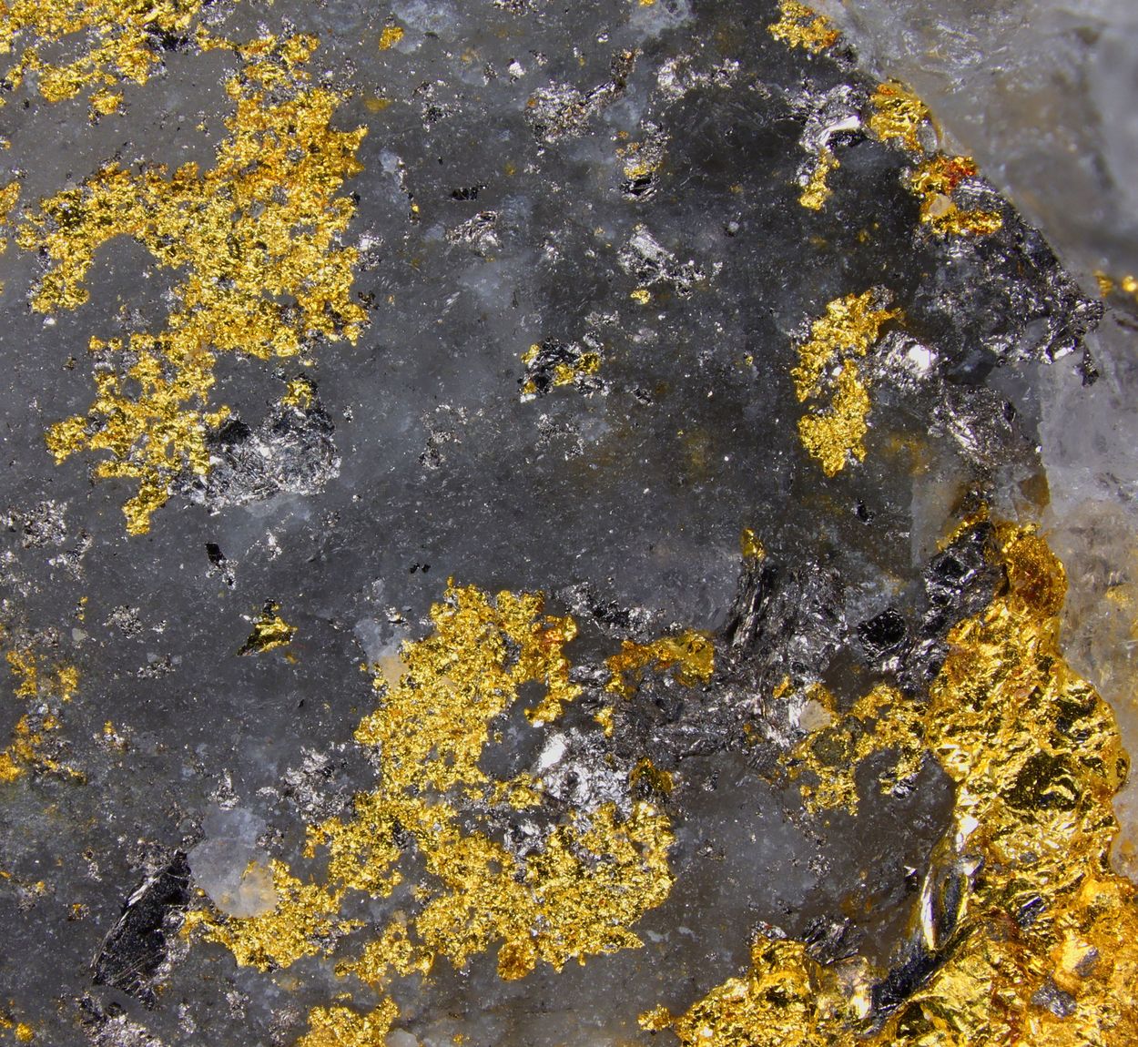 Native Gold With Tellurobismuthite