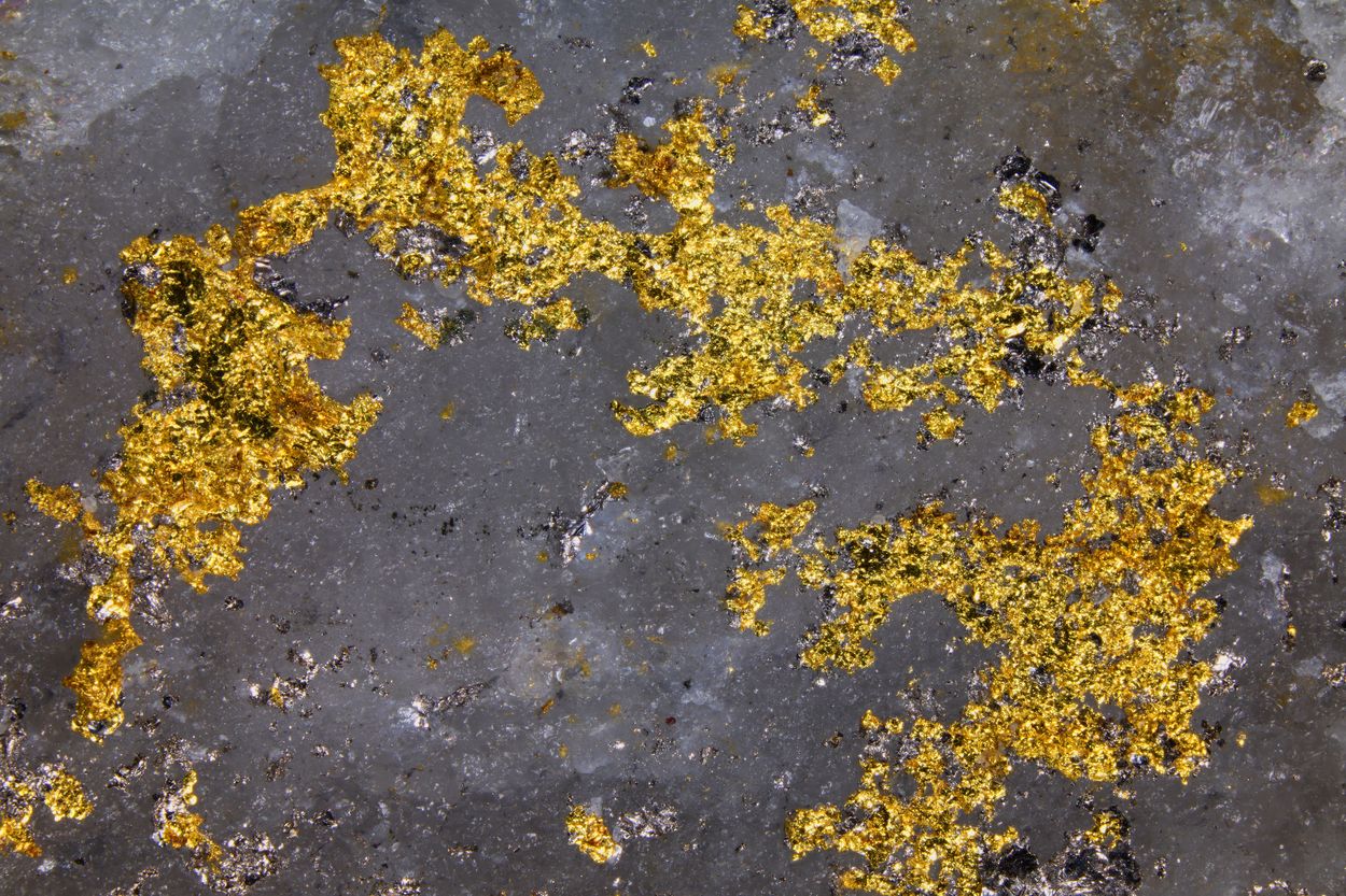 Native Gold With Tellurobismuthite