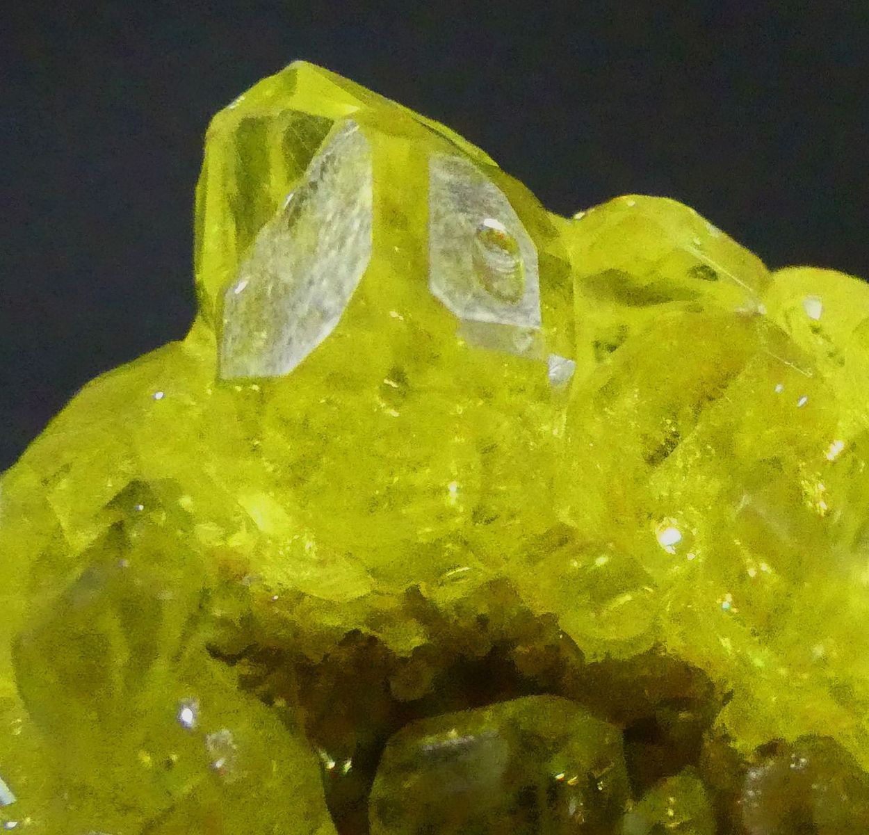 Native Sulphur