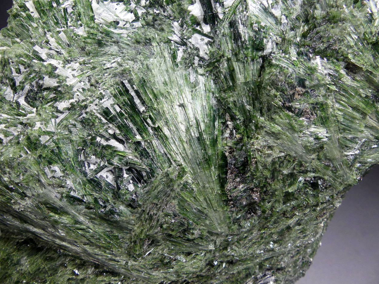 Actinolite