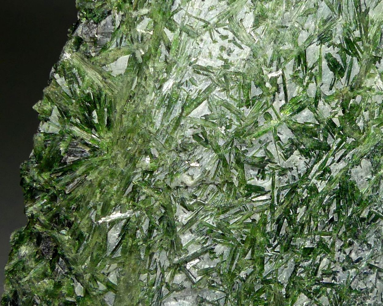 Actinolite